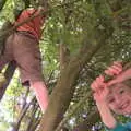 The boys find a climbey-tree right by our pitch, Dower House Camping, West Harling, Norfolk - 27th May 2018