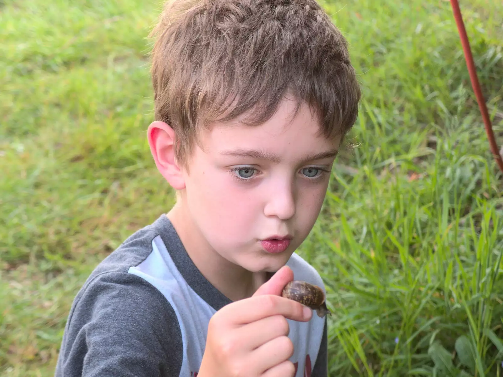 Fred finds a snail, from Dower House Camping, West Harling, Norfolk - 27th May 2018