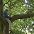 Fred's up a tree, Dower House Camping, West Harling, Norfolk - 27th May 2018