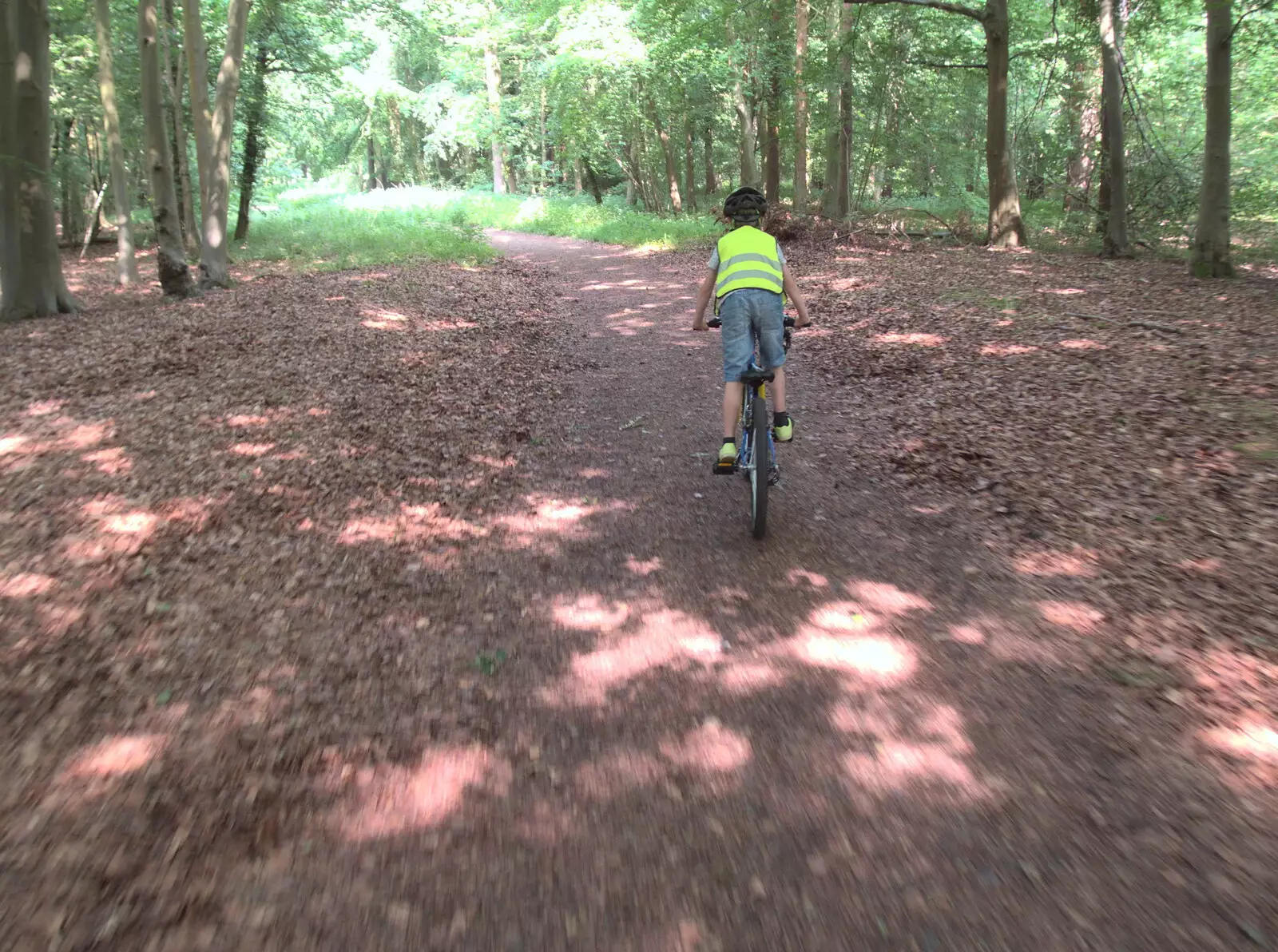 Fred whizzes off through the forest, from Dower House Camping, West Harling, Norfolk - 27th May 2018