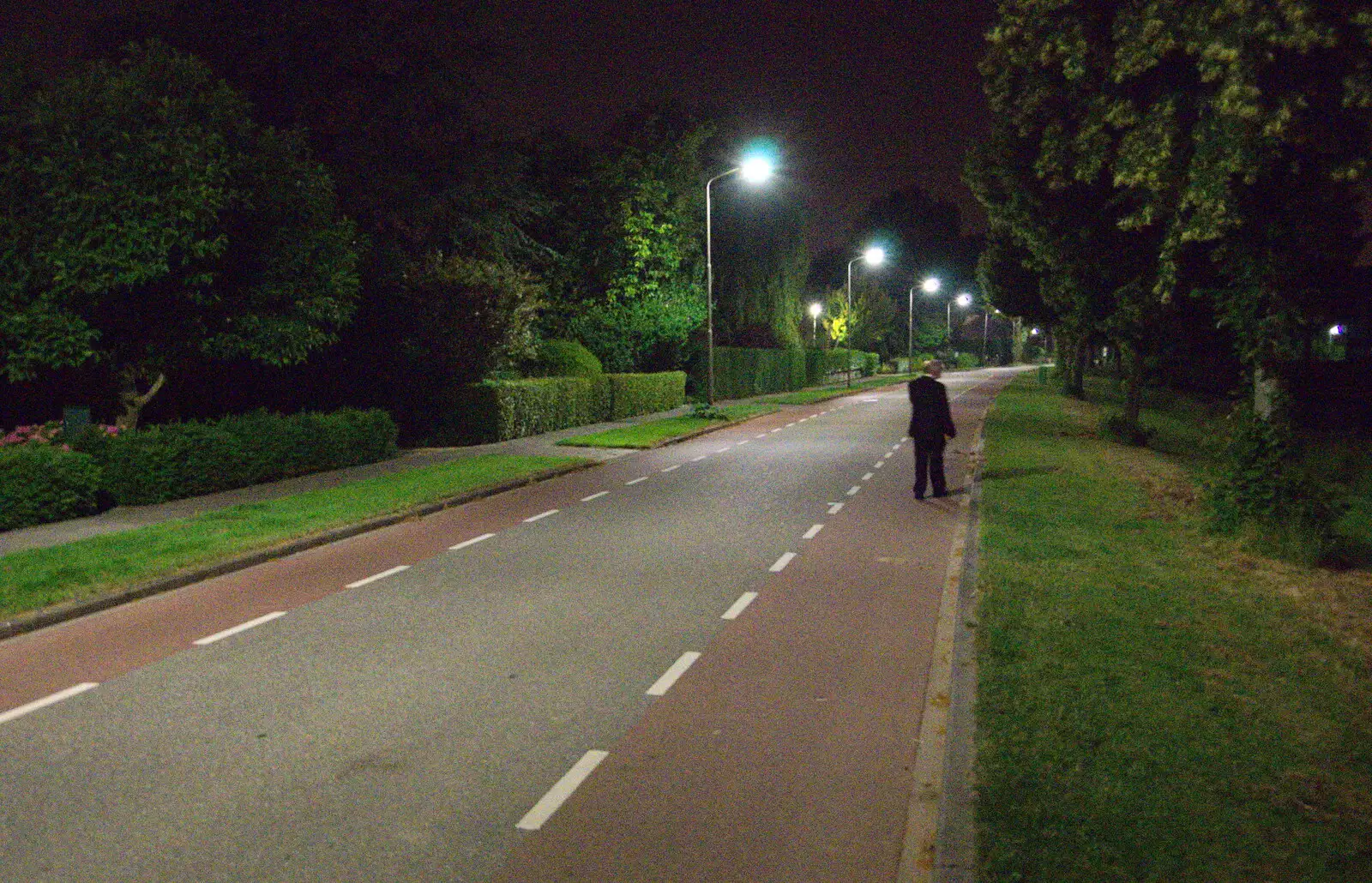 Hamish roams around on Leerdamseweg, from Martin's James Bond 50th Birthday, Asperen, Gelderland, Netherlands - 9th June 2018