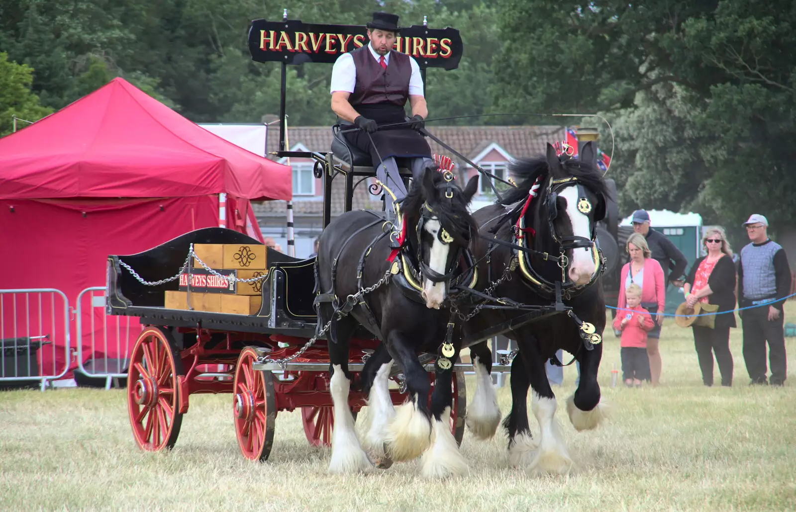 The Harvey's Shires trot around the show ring, from The Formerly-Known-As-The-Eye-Show, Palgrave, Suffolk - 17th June 2018