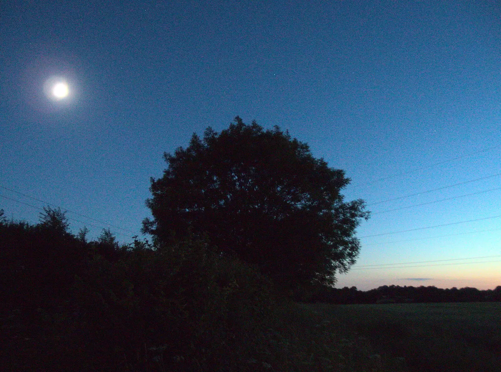 A round tree in the moonlight, from The BSCC at the Hopton Vine, and Eye Randomness, Suffolk - 23rd June 2018