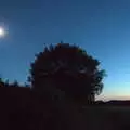 A round tree in the moonlight, The BSCC at the Hopton Vine, and Eye Randomness, Suffolk - 23rd June 2018