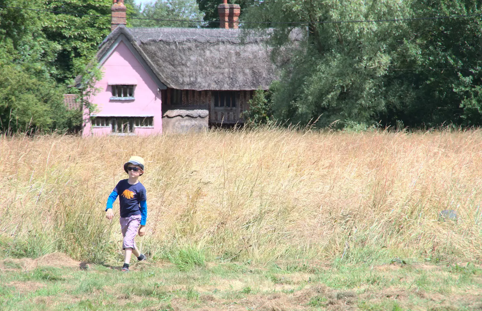 Harry roams around the green, from A Village Hog Roast, Little Green, Thrandeston, Suffolk - 24th June 2018