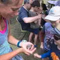 Someone's actually got a rescued starling chick, A Village Hog Roast, Little Green, Thrandeston, Suffolk - 24th June 2018