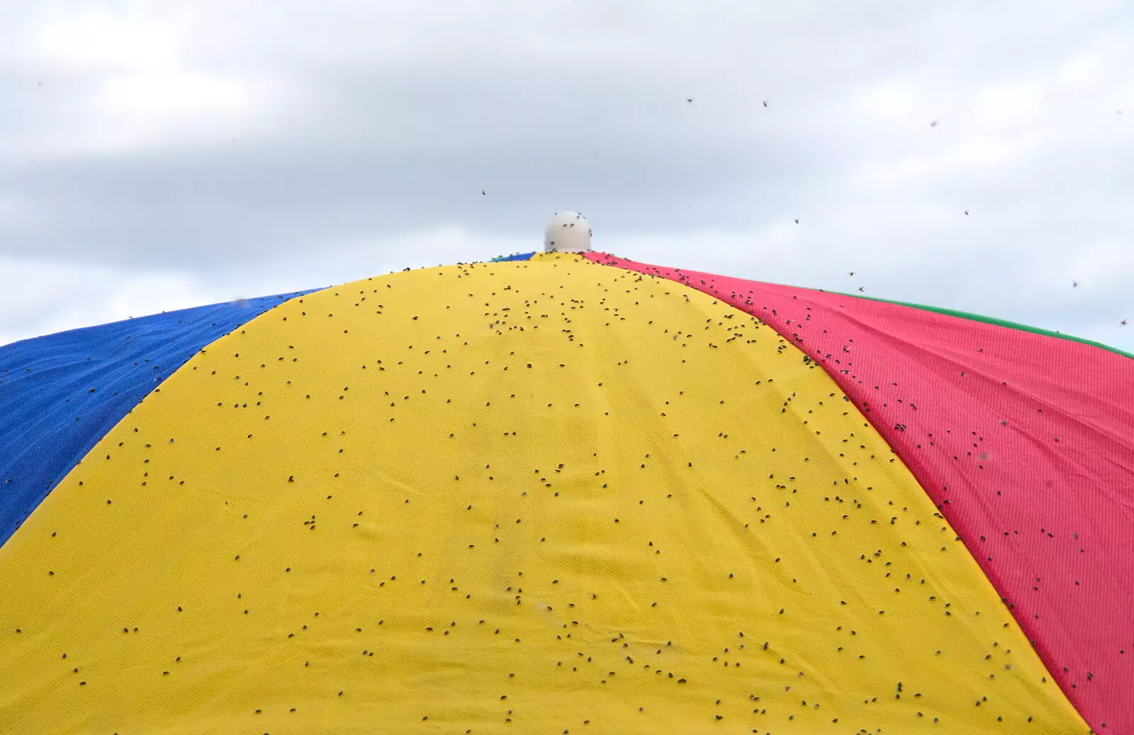 Flying insects love yellow, from A Village Hog Roast, Little Green, Thrandeston, Suffolk - 24th June 2018