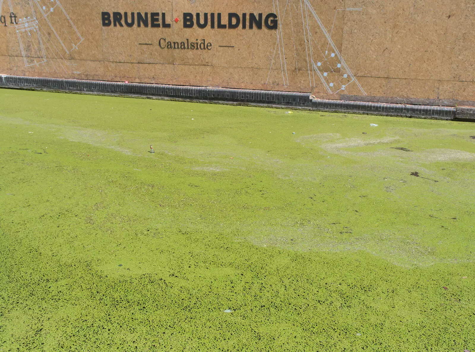 The canal looks almost like a grass lawn, from A SwiftKey Lunch, Porchester Place,  Edgware Road, London - 27th June 2018