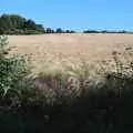 One of the nicer festival views, near the bogs, WoW Festival, Burston, Norfolk - 29th June - 1st July 2018