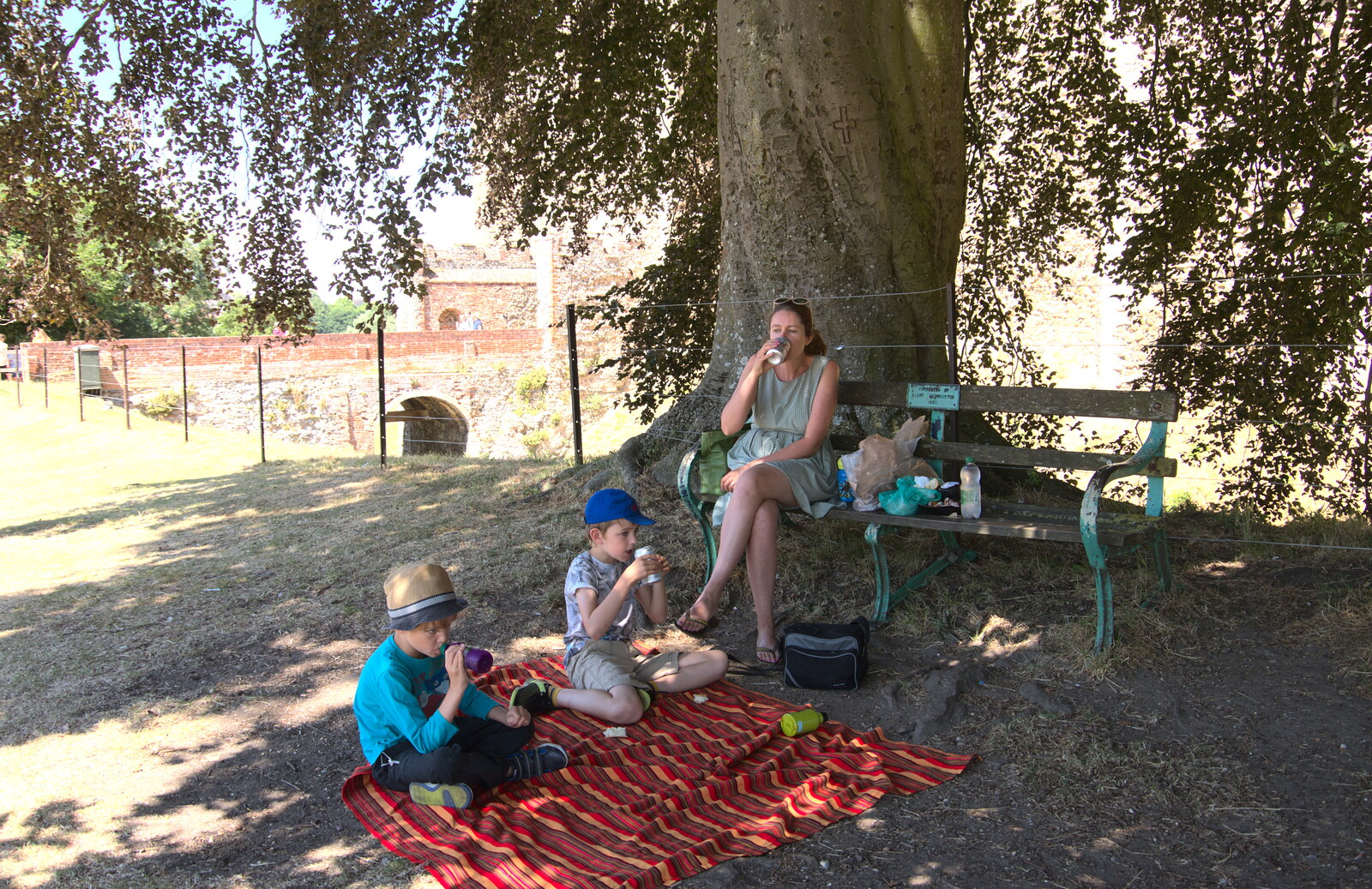 Picnic under a twisty tree from A Postcard from the Castle on the Hill, Framlingham, Suffolk - 14th July 2018