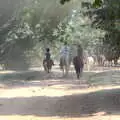 City horses kick up dust on West Carriage Drive, The BSCC at The Crown and Hot Summer Days, Diss, Pulham and London - 24th July 2018