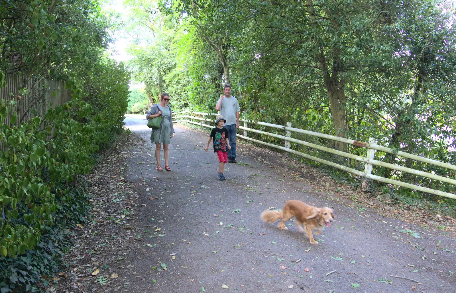 We follow the dog down to the beach, from Blustery Beach Trips, Walkford and Highcliffe, Dorset - 29th July 2018