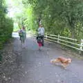 We follow the dog down to the beach, Blustery Beach Trips, Walkford and Highcliffe, Dorset - 29th July 2018