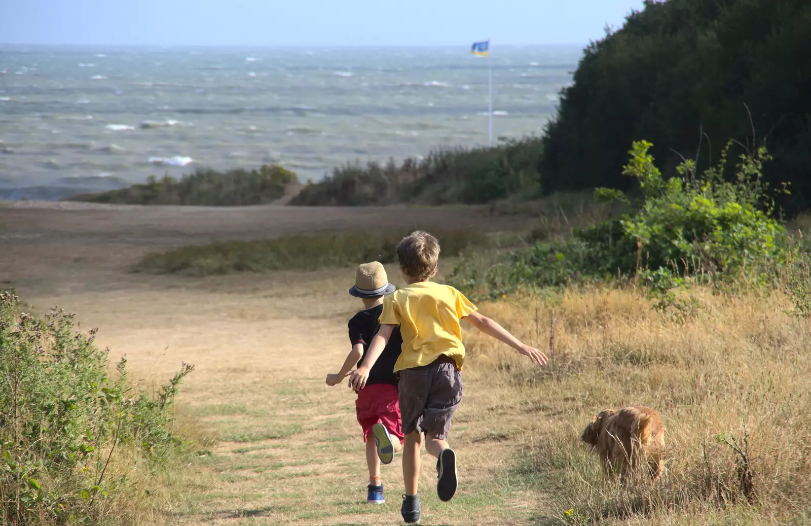 Harry and Fred hurl themselves towards the sea, from Blustery Beach Trips, Walkford and Highcliffe, Dorset - 29th July 2018