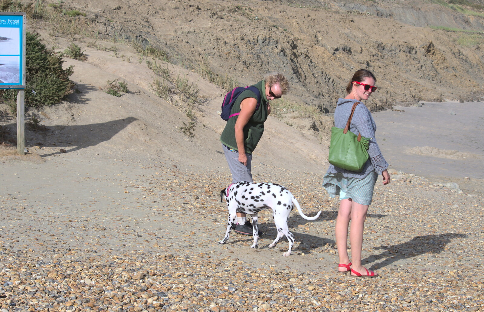 Spot the dog from Blustery Beach Trips, Walkford and Highcliffe, Dorset - 29th July 2018