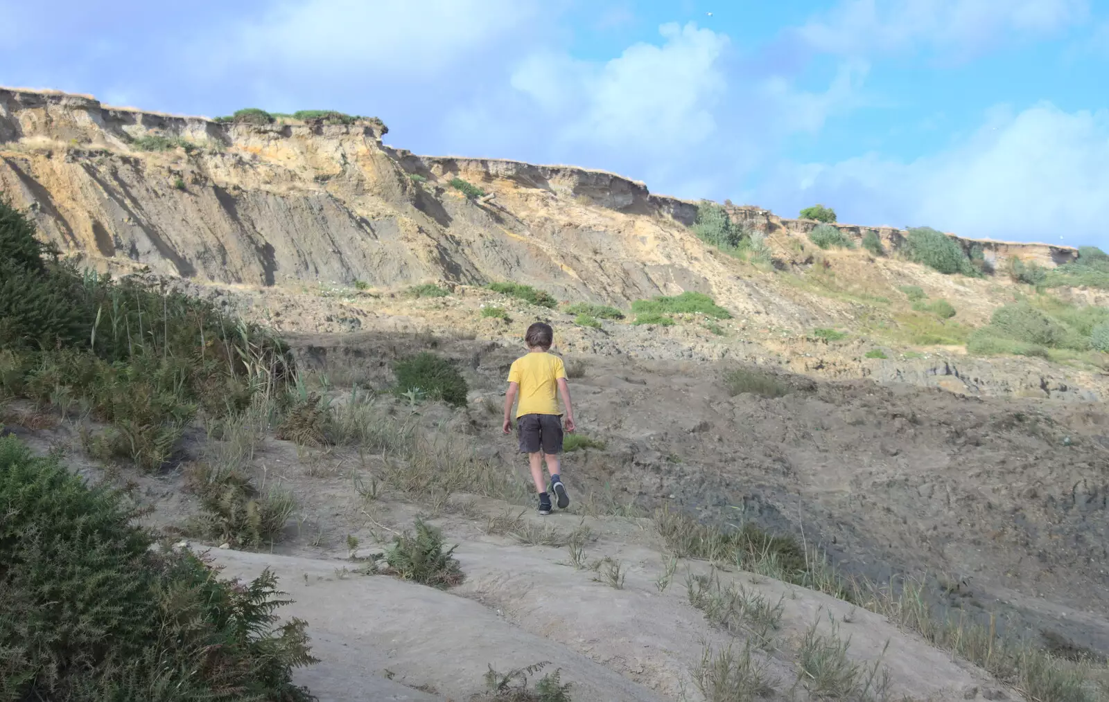 Fred roams the cliffs, from Blustery Beach Trips, Walkford and Highcliffe, Dorset - 29th July 2018