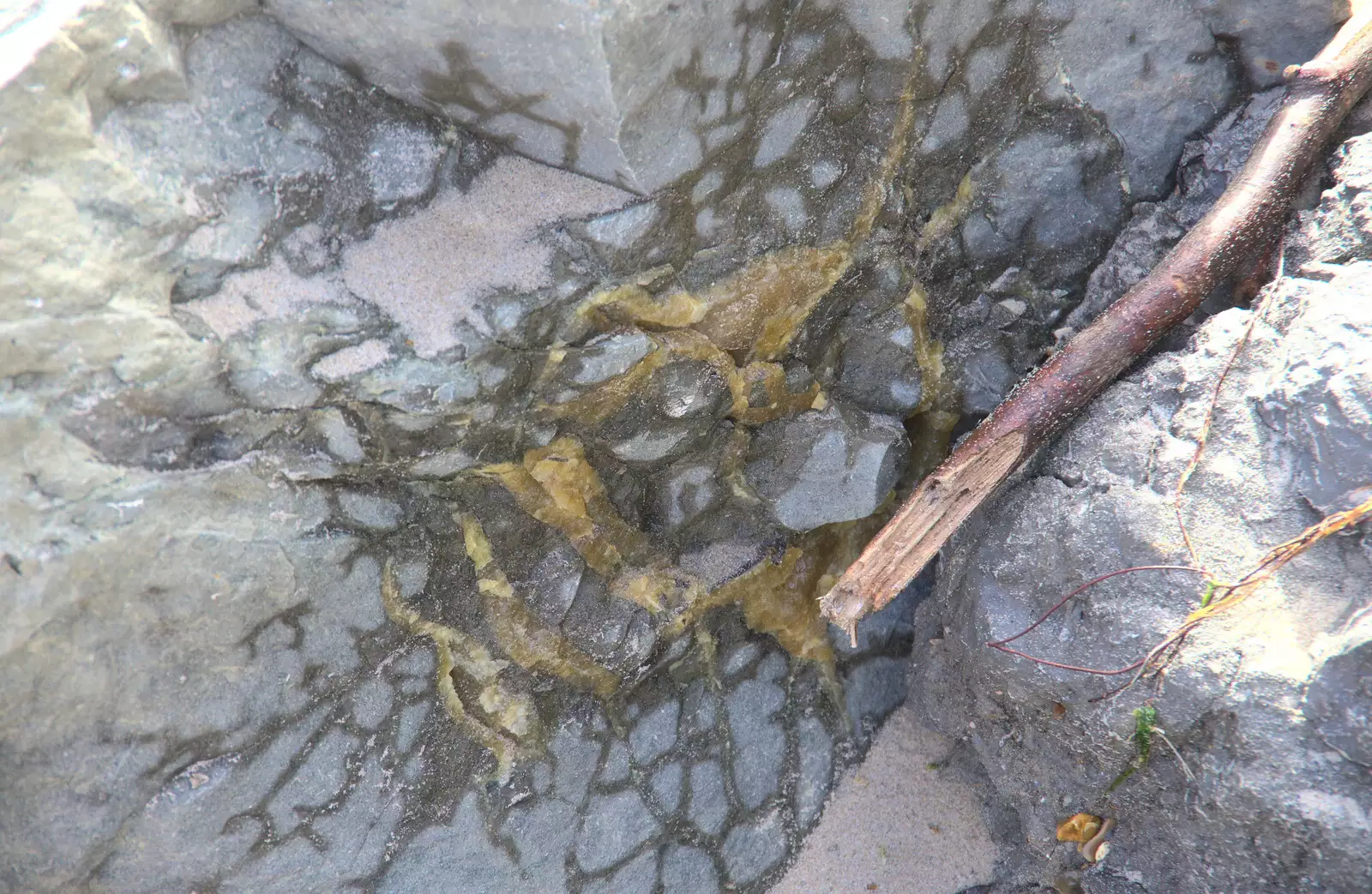 Calcite in a rock looks like a snot explosion, from Blustery Beach Trips, Walkford and Highcliffe, Dorset - 29th July 2018