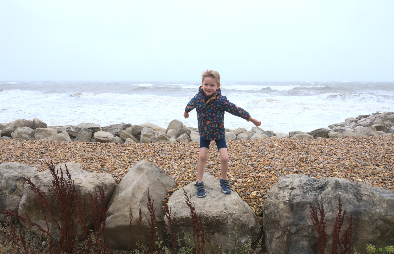 Harry stands on a rock and gets blown around from Blustery Beach Trips, Walkford and Highcliffe, Dorset - 29th July 2018