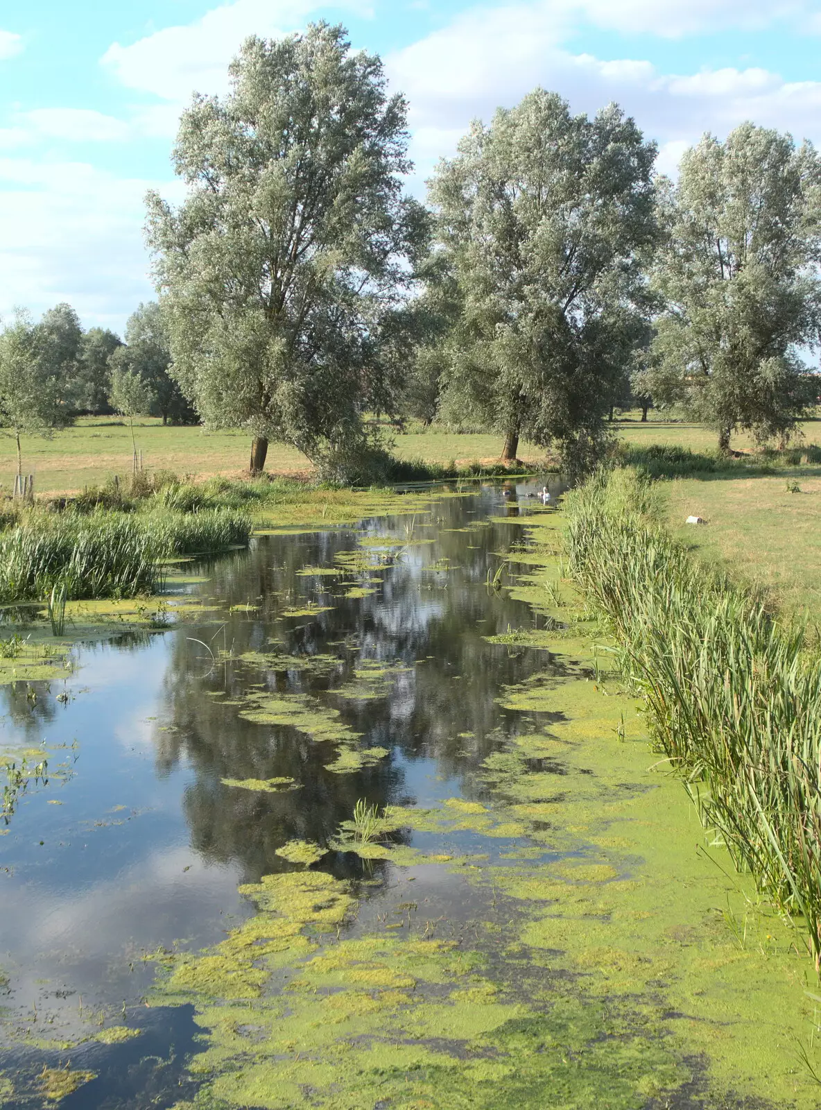 The River Waveney at Mendham, Norfolk side, from A Trip to Da Gorls, Monkstown Farm, County Dublin, Ireland - 4th August 2018