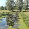 The River Waveney at Mendham, Norfolk side, A Trip to Da Gorls, Monkstown Farm, County Dublin, Ireland - 4th August 2018