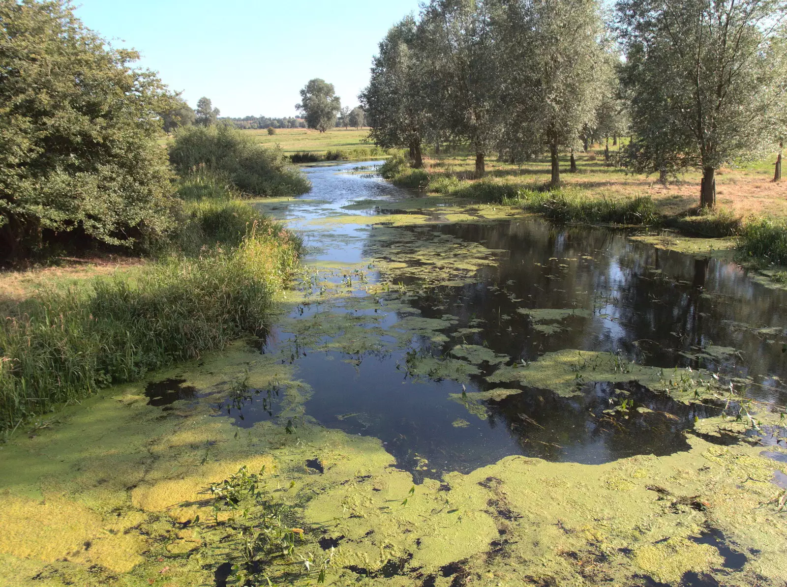 The Suffolk side of the Waveney at Mendham, from A Trip to Da Gorls, Monkstown Farm, County Dublin, Ireland - 4th August 2018