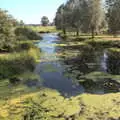 The Suffolk side of the Waveney at Mendham, A Trip to Da Gorls, Monkstown Farm, County Dublin, Ireland - 4th August 2018