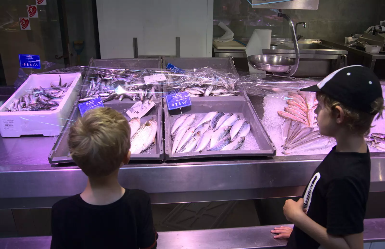 The boys look at fish, from Abbaye Sainte-Marie de Lagrasse and The Lac de la Cavayère, Aude, France - 10th August