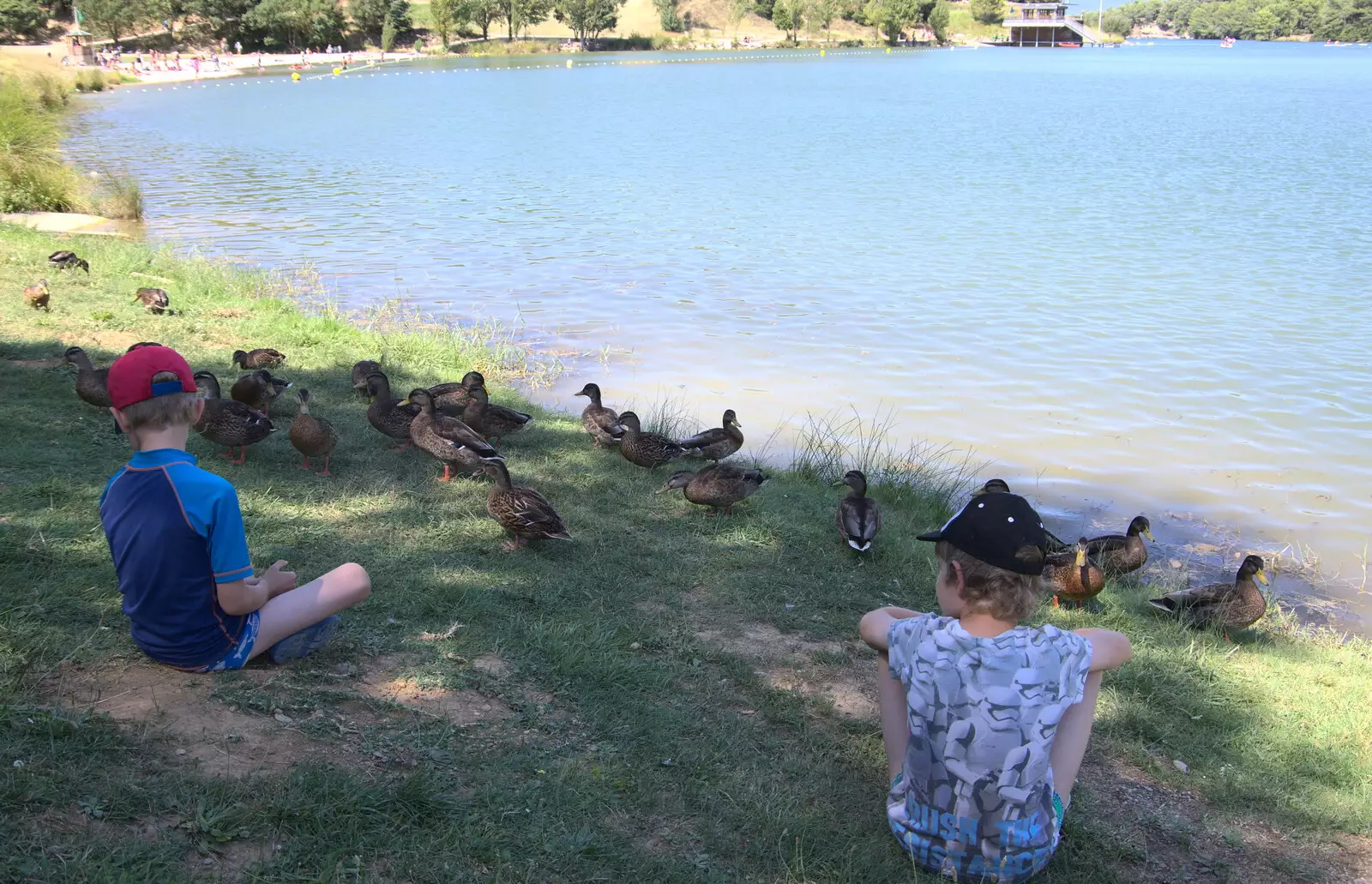 Harry feeds the ducks, from Abbaye Sainte-Marie de Lagrasse and The Lac de la Cavayère, Aude, France - 10th August