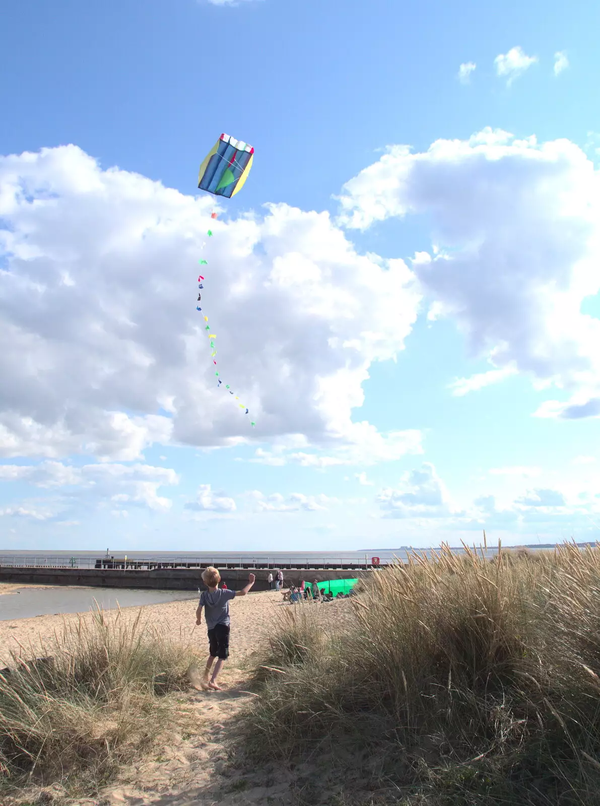 Harry's got a kite, from A Day on the Beach, Southwold, Suffolk - 25th August 2018