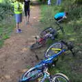 Everyone else joins in with the blackberry picking, A Spot of Camping, Alton Water, Stutton, Suffolk - 1st September 2018