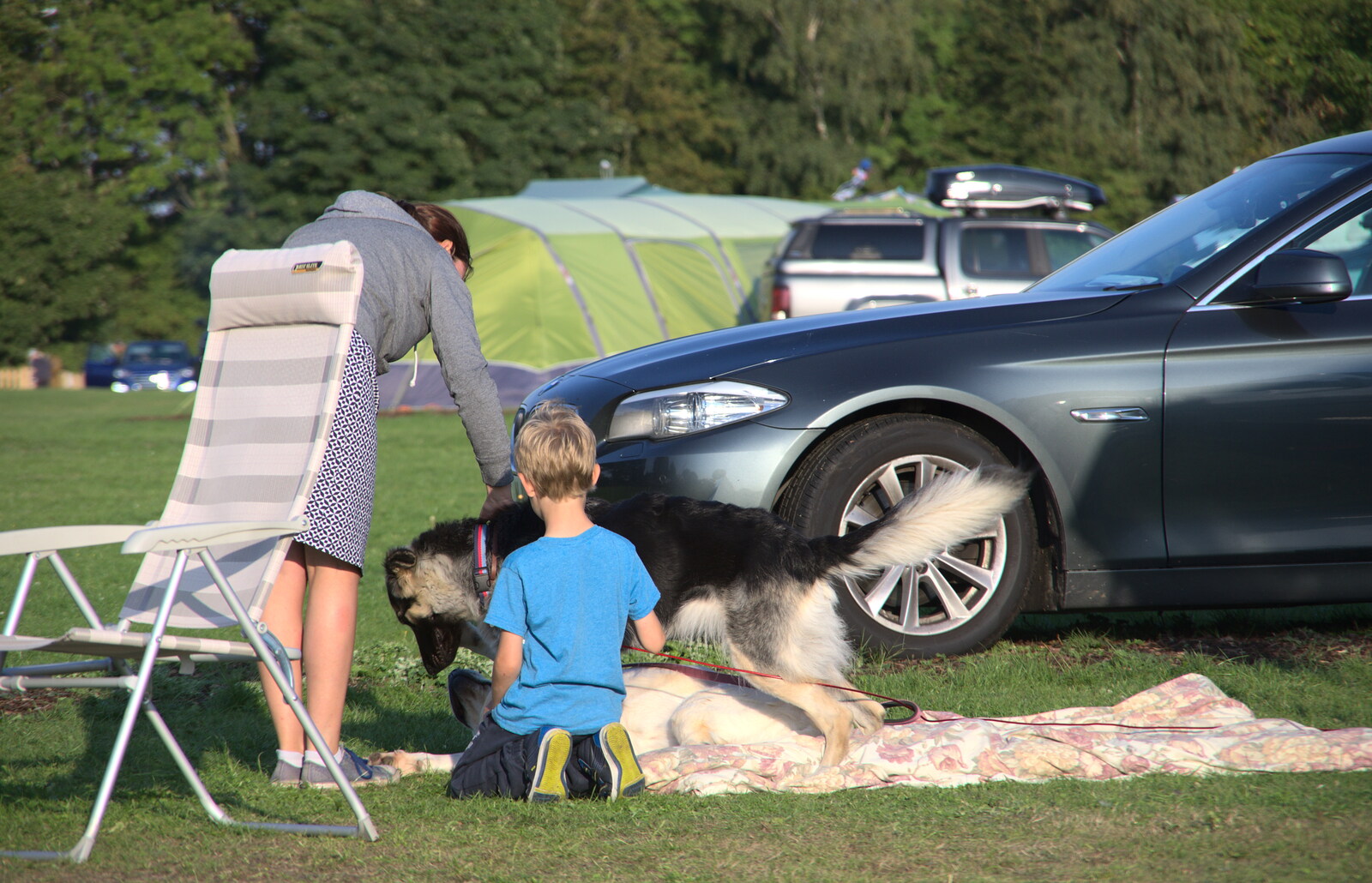 Harry goes over to see the dogs from A Spot of Camping, Alton Water, Stutton, Suffolk - 1st September 2018