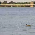 A duck floats around by the limnological tower, A Spot of Camping, Alton Water, Stutton, Suffolk - 1st September 2018