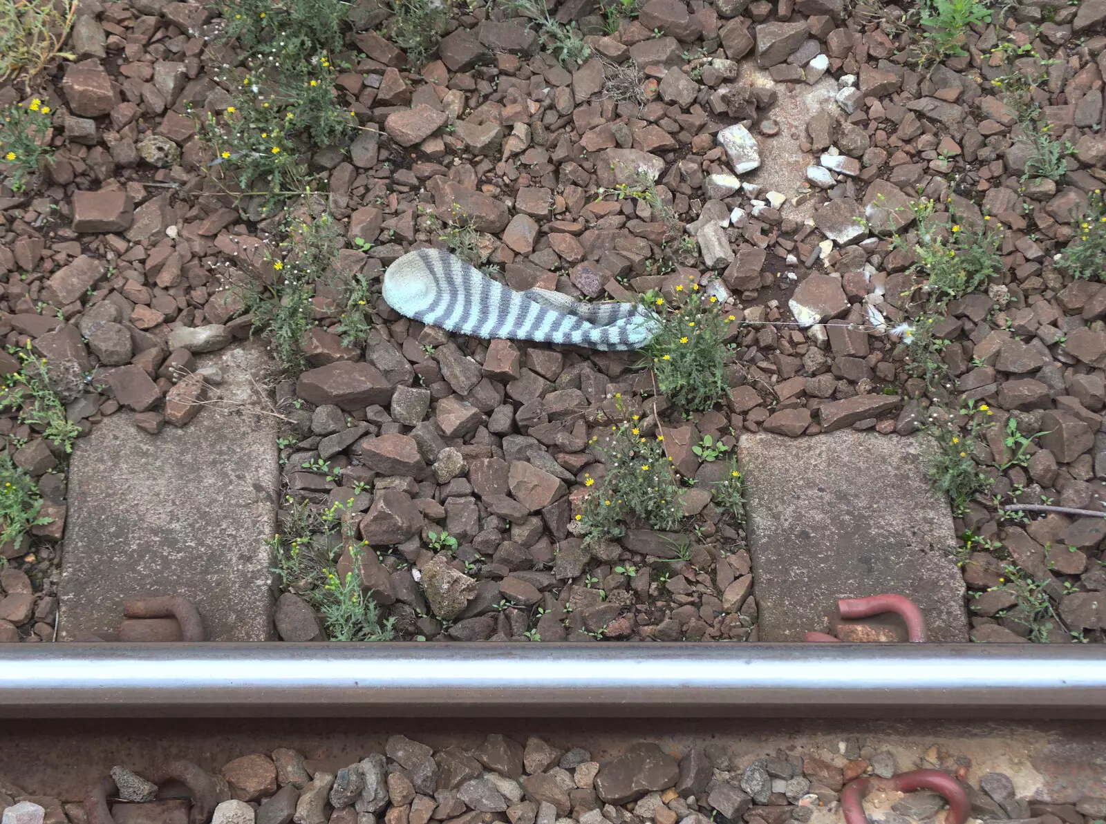 There's an escaped sock on the railway at Diss, from A Day at Warwick Castle, Warwickshire - 8th September 2018