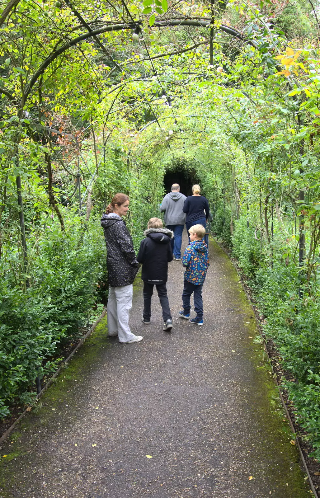 The gang in a tree arch, from A Day at Warwick Castle, Warwickshire - 8th September 2018