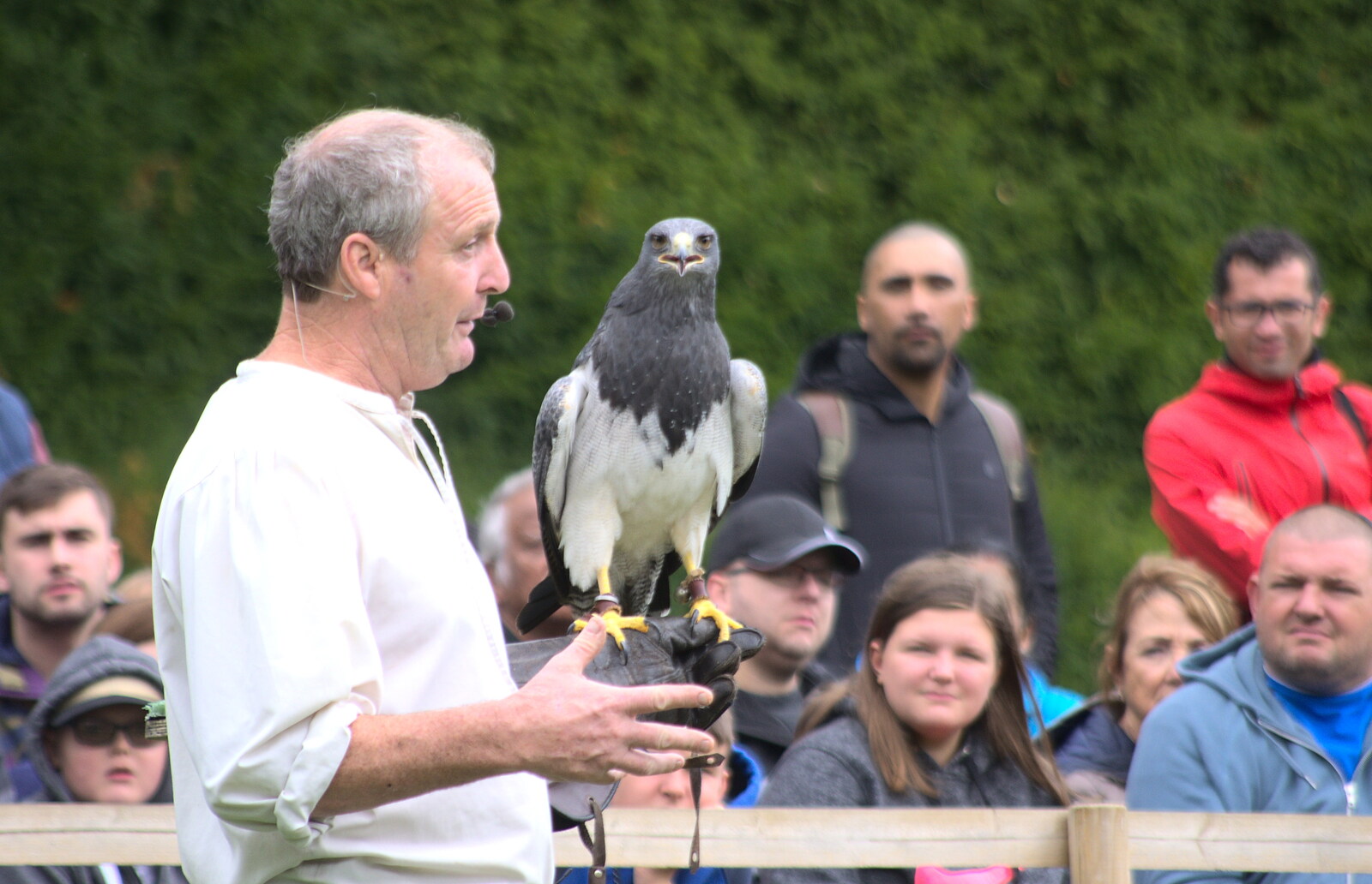 There's a birds-of-prey demo from A Day at Warwick Castle, Warwickshire - 8th September 2018