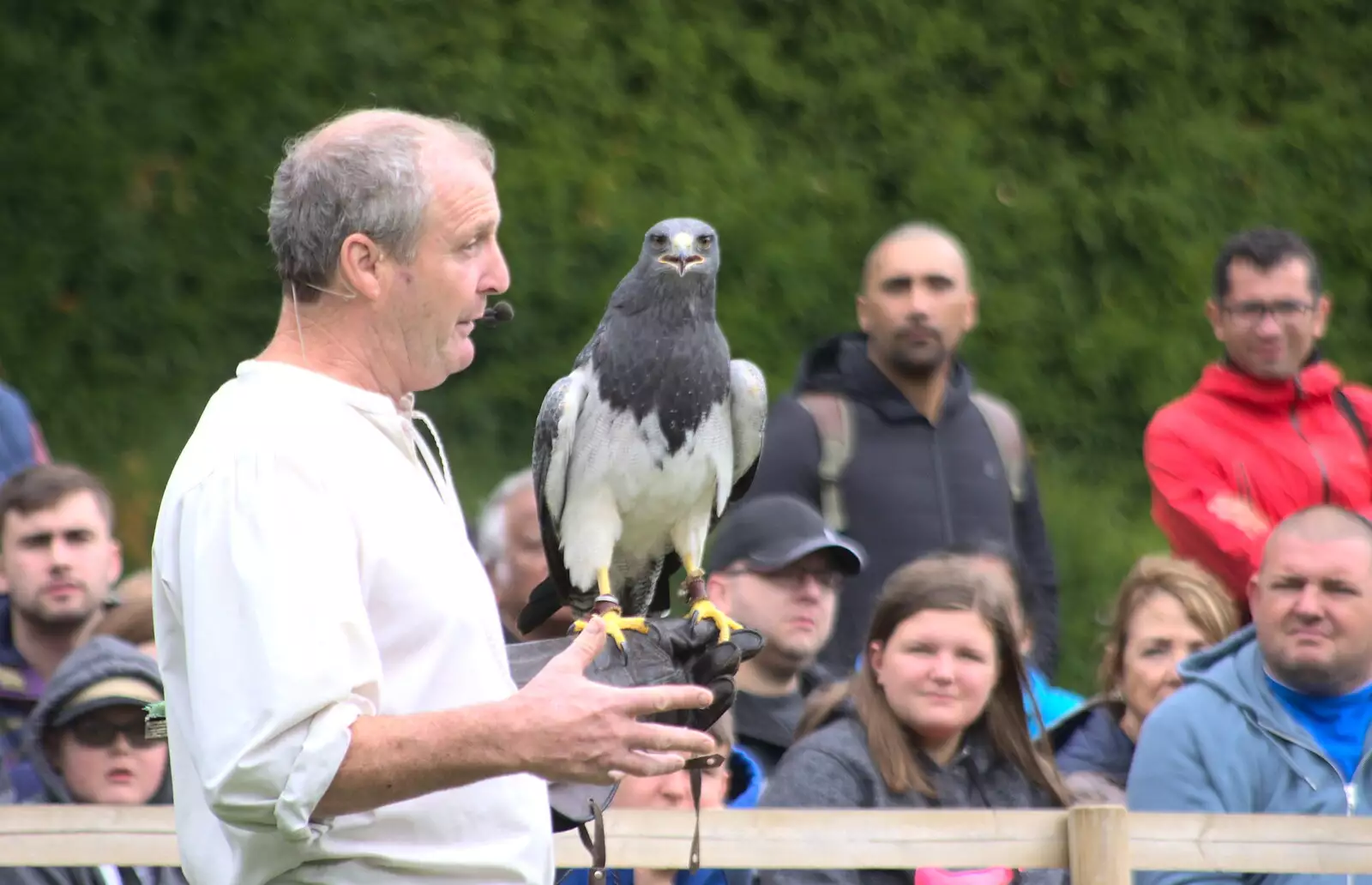 There's a birds-of-prey demo, from A Day at Warwick Castle, Warwickshire - 8th September 2018