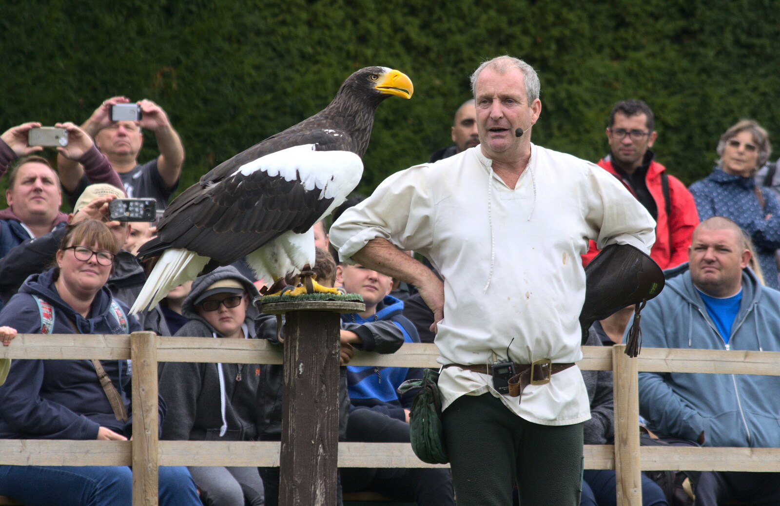 A massive fish eagle from A Day at Warwick Castle, Warwickshire - 8th September 2018