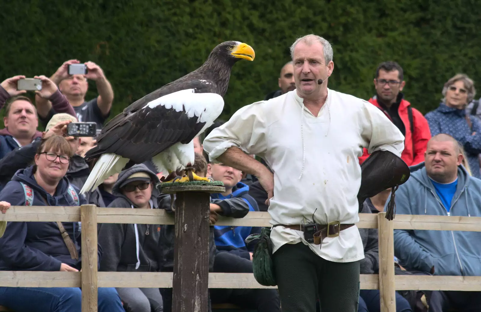 A massive fish eagle, from A Day at Warwick Castle, Warwickshire - 8th September 2018