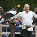 A massive fish eagle, A Day at Warwick Castle, Warwickshire - 8th September 2018