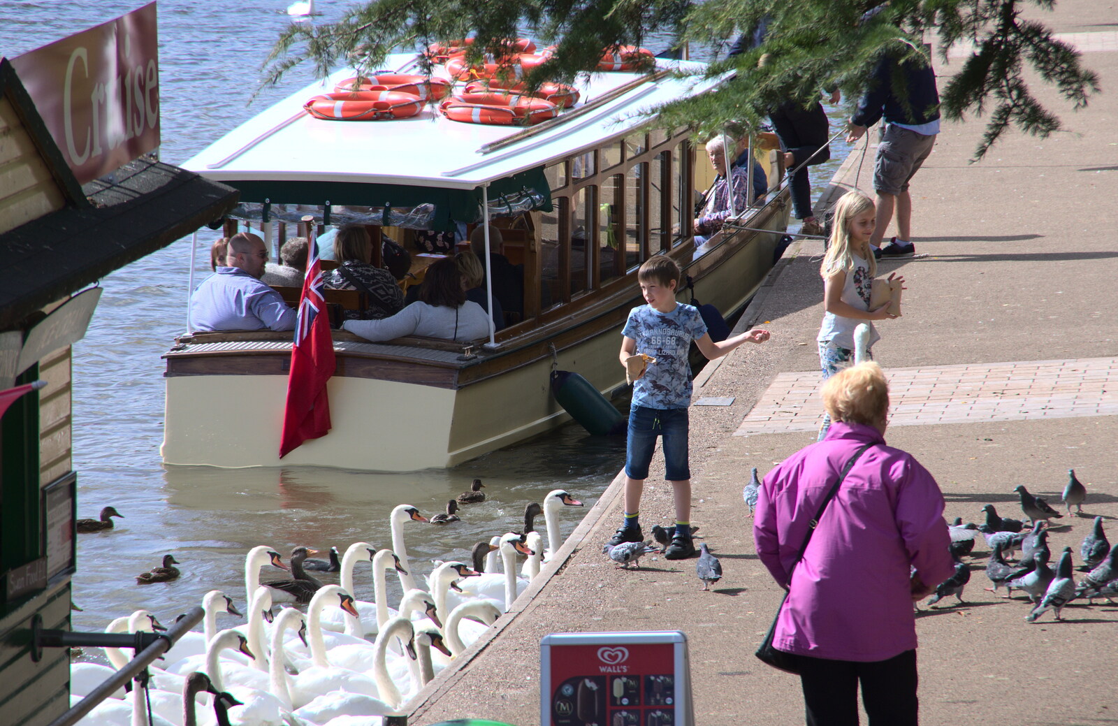 A boy flings bread to the swans from A Postcard from Stratford-upon-Avon, Warwickshire - 9th September 2018