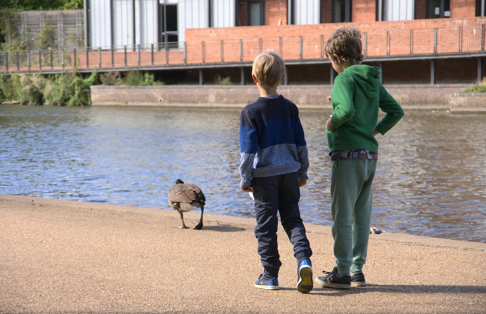 Harry and Fred stalk a goose from A Postcard from Stratford-upon-Avon, Warwickshire - 9th September 2018