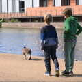 Harry and Fred stalk a goose, A Postcard from Stratford-upon-Avon, Warwickshire - 9th September 2018