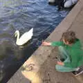 Fred offers a branch to a swan, A Postcard from Stratford-upon-Avon, Warwickshire - 9th September 2018