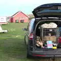 Ben the dog looks folornly out of the back of a car, An Optimistic Camping Weekend, Waxham Sands, Norfolk - 22nd September 2018