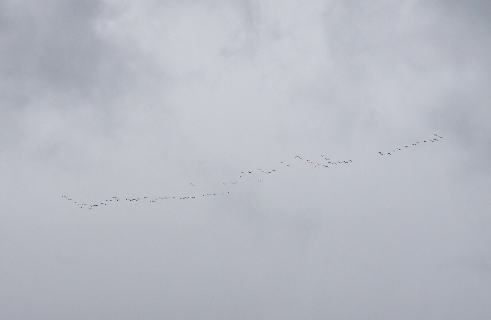 A flock of geese practice their migration patterns from An Optimistic Camping Weekend, Waxham Sands, Norfolk - 22nd September 2018