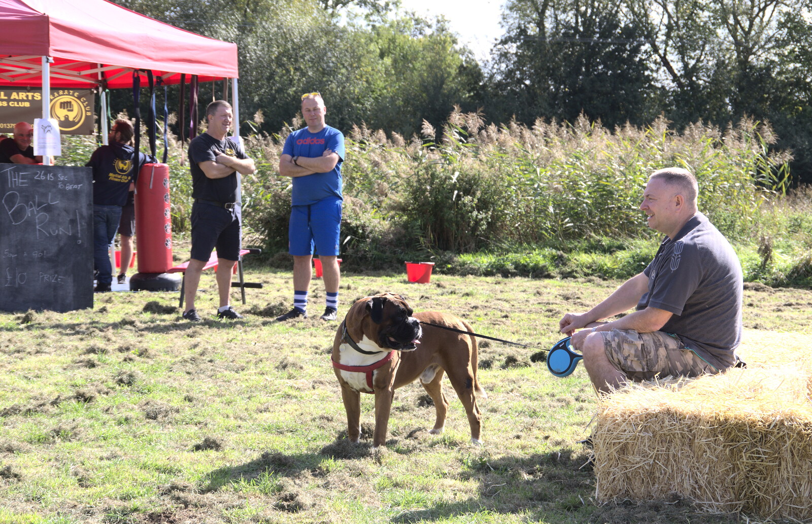 A chunky dog stands around from Gislingham Silver Band and the Duck Race, The Pennings, Eye, Suffolk - 29th September 2018