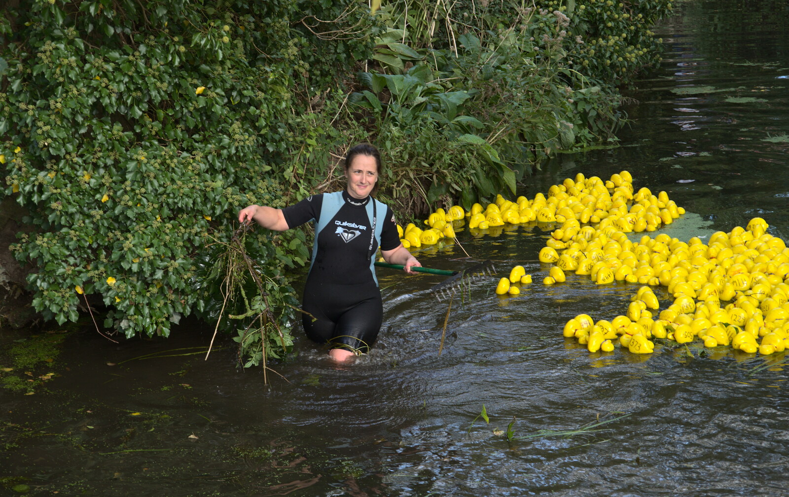 A bit of weed is pulled up from Gislingham Silver Band and the Duck Race, The Pennings, Eye, Suffolk - 29th September 2018