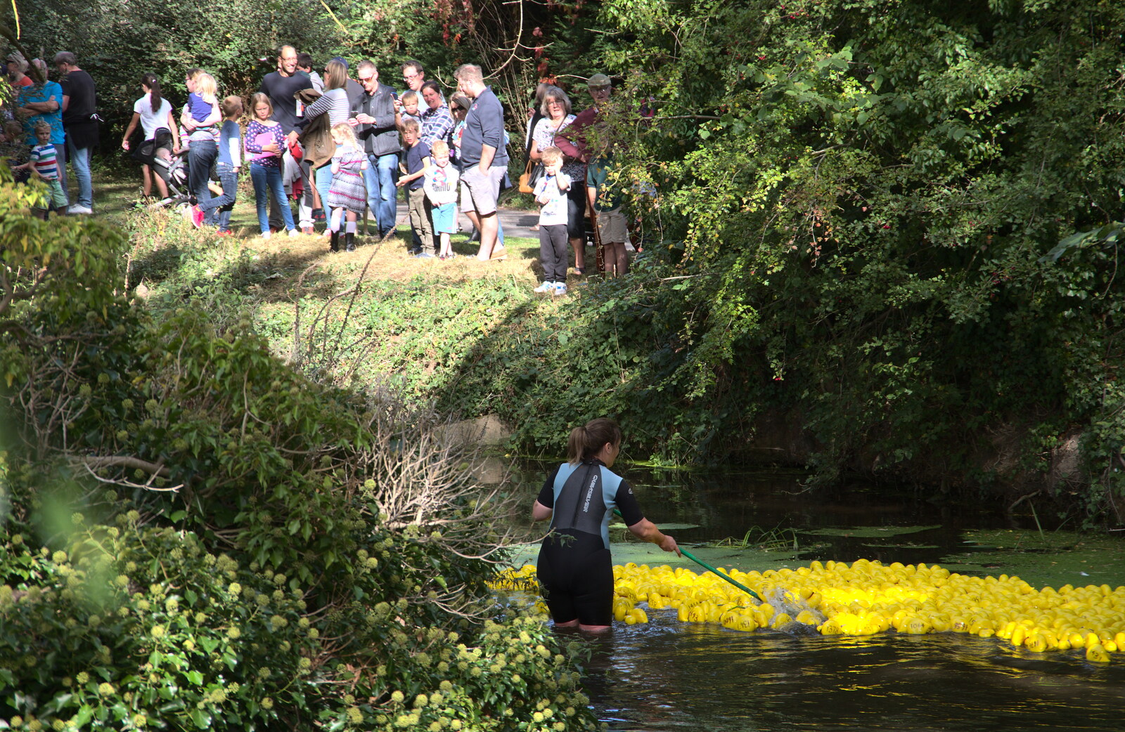 Gislingham Silver Band and the Duck Race, The Pennings, Eye, Suffolk - 29th September 2018: The ducks are assisted up the river