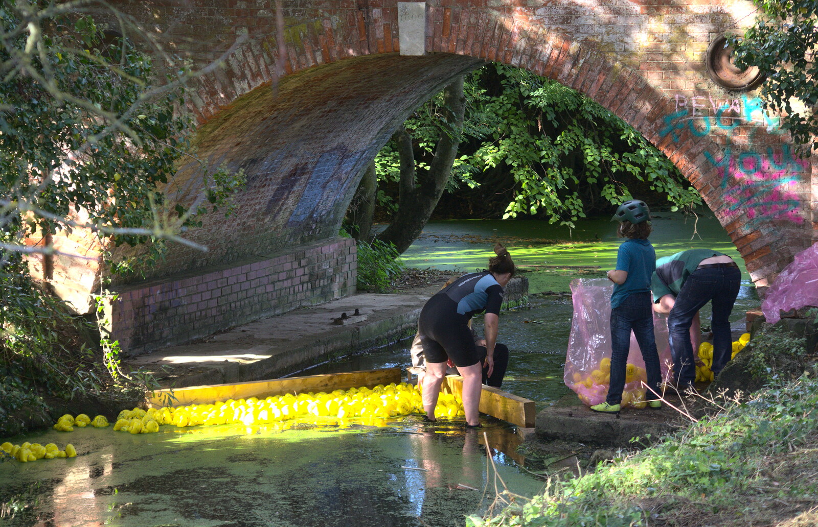 The ducks are collected up at the end of the 'race' from Gislingham Silver Band and the Duck Race, The Pennings, Eye, Suffolk - 29th September 2018
