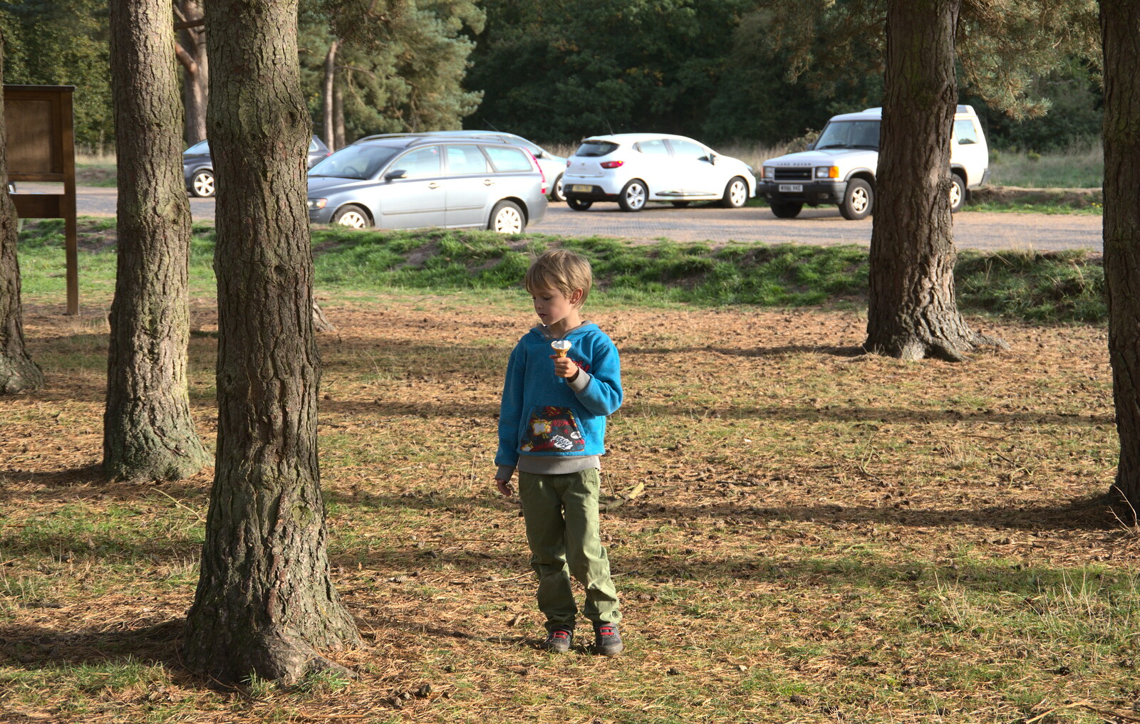 Harry roams around from Evidence of Autumn: Geocaching on Knettishall Heath, Suffolk - 7th October 2018